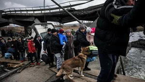 Uciekła z Irpienia. "Rosjanie strzelają z radością. Czują się bezkarni" 