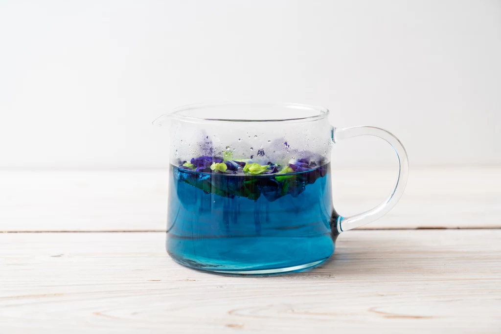 Niebieska herbata w szklanym naczyniu efektownie się prezentuje