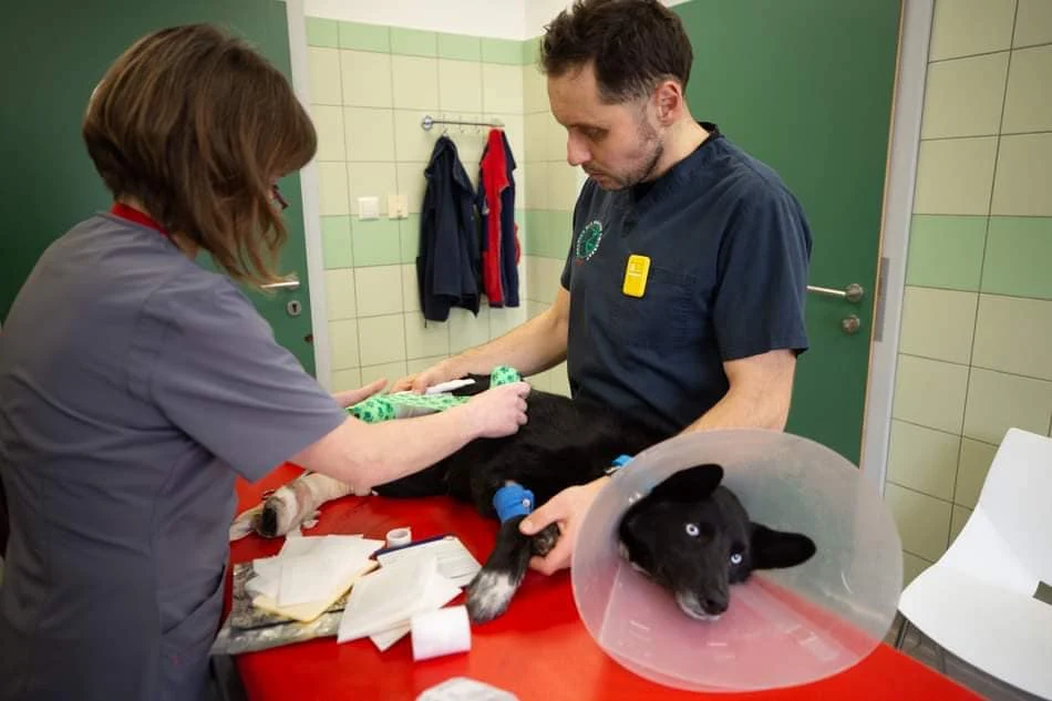 Hard ledwie uszedł z życiem w czasie wojny w Ukrainie. Dziś przebywa w lecznicy w Przemyślu