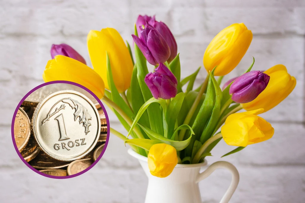 Domowe sposoby na odżywienie tulipanów w wazonie