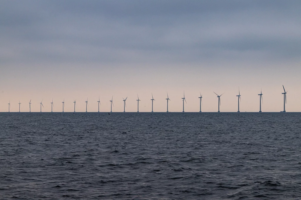 Farmy wiatrowe na morzu to jeden ze sposobów na rozwój odnawialnych źródeł energii i odejście od paliw kopalnych