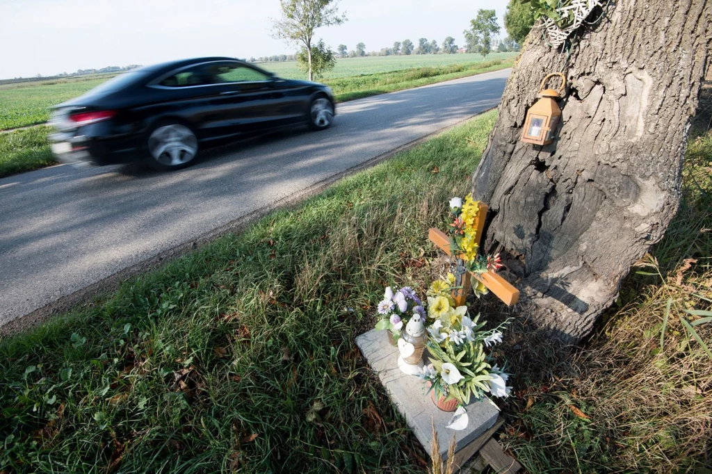 Najwięcej osób ginie w wypadkach na drogach jednojezdniowych, poza obszarem zabudowanym