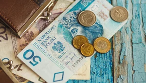 Polska waluta ma dobrą passę. Czy dalsze umocnienie złotego jest możliwe? 