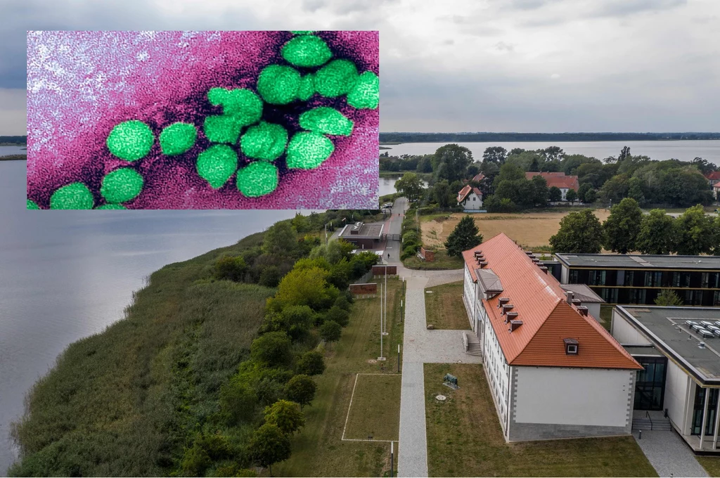 Wyspa Riems, nazywana również "Wyspą Plag" lub "Wyspą Dżumy" Wyspa Riems, nazywana również "Wyspą Plag" lub "Wyspą Dżumy"