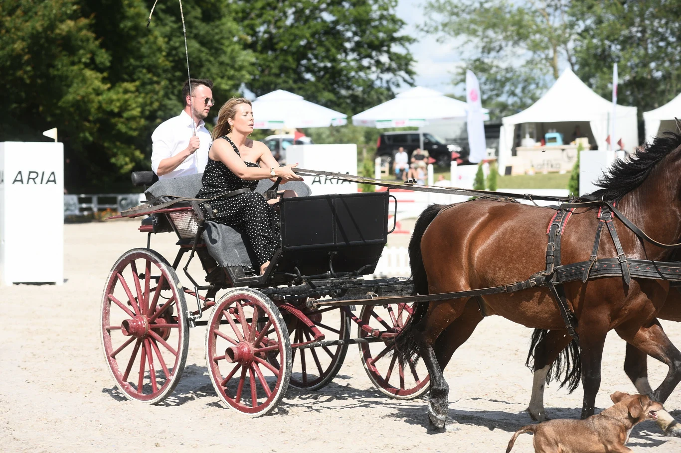 Konie to od lat wielka pasja, a zarazem praca Karoliny Ferenstein-Kraśko Konie to od lat wielka pasja, a zarazem praca Karoliny Ferenstein-Kraśko