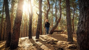 Leśne kąpiele - natura, która leczy duszę i ciało. Zdrowa moda trwa w najlepsze