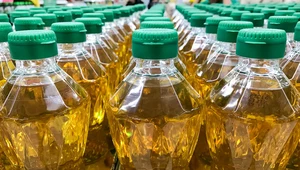 Butelki po oleju to dla wielu osób problem przy segregowaniu śmieci. 