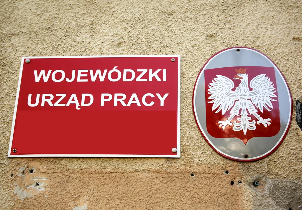 Zaskakujące dane z rynku. Wzrost jest nawet dwucyfrowy