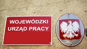 Zaskakujące dane z rynku. Wzrost jest nawet dwucyfrowy