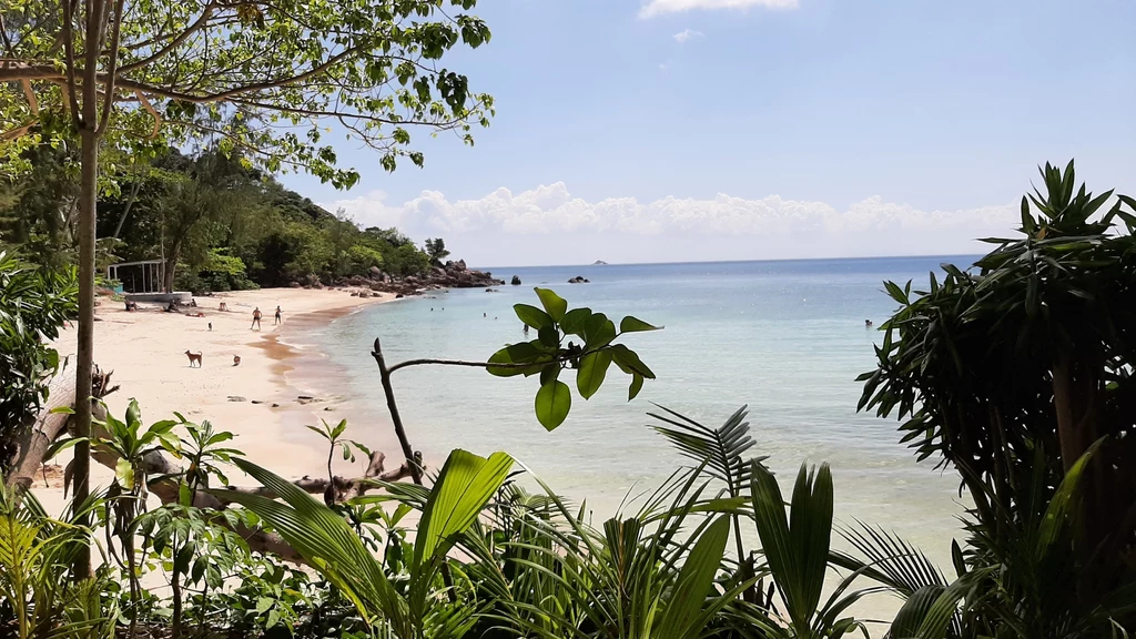 Szerokie plaże z drobnym miękkim białym piaskiem przyciagają do Ko Phangan