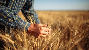 Światu w najbliższych latach grozi najpoważniejszy od wielu dekad kryzys żywnościowy