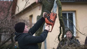 Rolnicy. Podlasie: Poważne uszkodzenia po wichurze