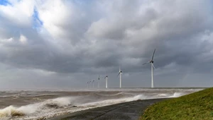 Ogromna inwestycja Holandii w morskie farmy wiatrowe. „To kamień milowy”