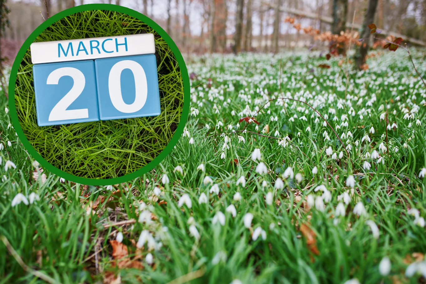 Równonoc wiosenna, czyli początek astronomicznej wiosny. W 2022 roku wiosna zaczyna się w niedzielę, 20 marca. Równonoc wiosenna, czyli początek astronomicznej wiosny. W 2022 roku wiosna zaczyna się w niedzielę, 20 marca.