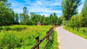 Pierwszy dzień astronomicznej wiosny w 2022 roku wypadł 20 marca 