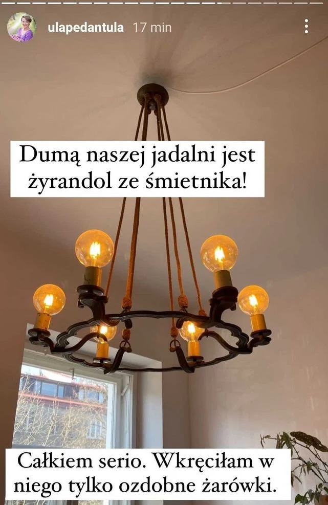 Ula Chincz: www.instagram.com/ulapedantula/?hl=pl Ula Chincz: www.instagram.com/ulapedantula/?hl=pl