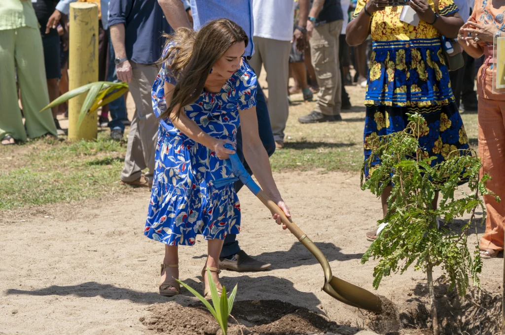 Księżna Kate na pamiątkę wizyty w Belize zasadziła drzewo Księżna Kate na pamiątkę wizyty w Belize zasadziła drzewo