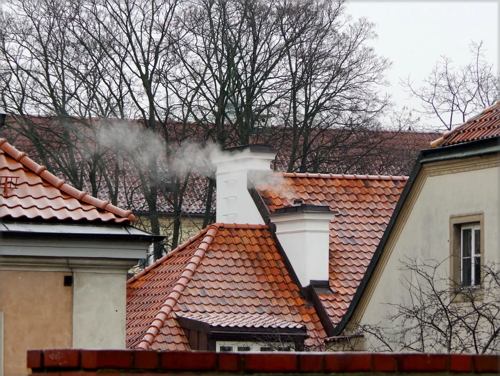 Według Instytutu Reform program "Czyste Powietrze" może posłużyć jako narzędzie do dekarbonizacji budynków. 