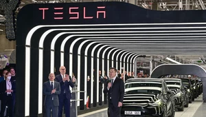 Elon Musk musi działać, Tesla pokazała wyniki finansowe i nie sprostała oczekiwaniom rynku.