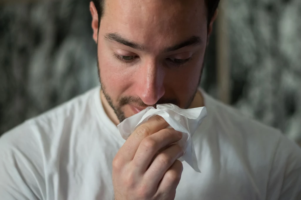 Naukowcy z Uniwersytetu Michigan zbadali związek między rosnącymi wskutek zmian klimatycznych temperaturami i intensywnością alergii odczuwanych przez ludzi