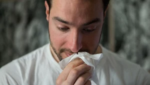 Koszmar alergików. Wraz z ocieplaniem klimatu sezony alergiczne będą dłuższe i bardziej intensywne