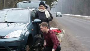 M jak miłość