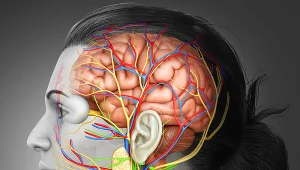 Drażnienie nerwu błędnego może spowodować kaszel