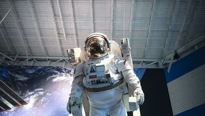 To warzywo będzie się lekiem na osteoporozę?  Pomoże też astronautom