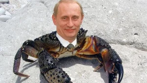 Putin-krab i Lenin-grzyb. Z czego śmieje się cała Rosja?