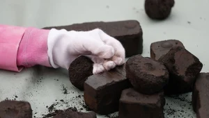 ​Grupa Enea o sytuacji na rynku węgla 