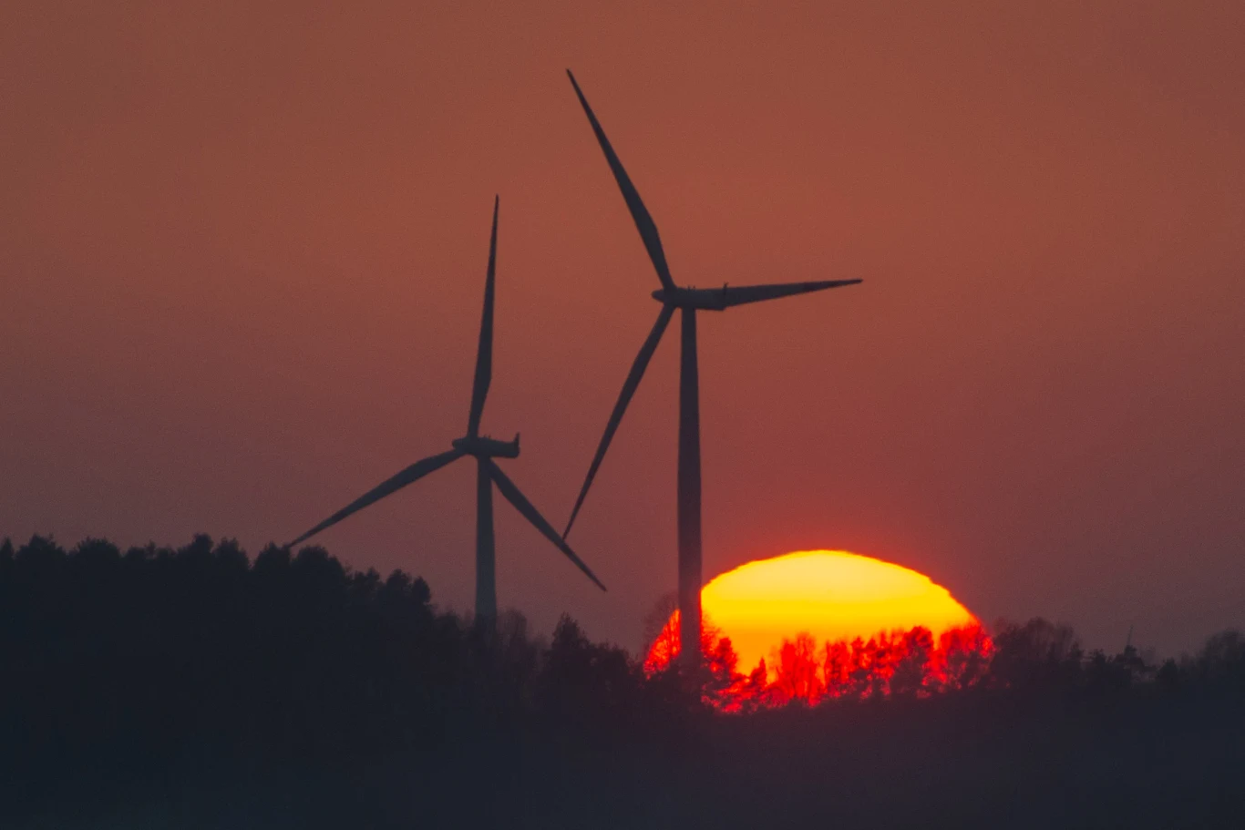 Jako sposób na uniezależnienie od surowców energetycznych z Rosji najczęściej wskazywane są inwestycje w odnawialne źródła energii (OZE)