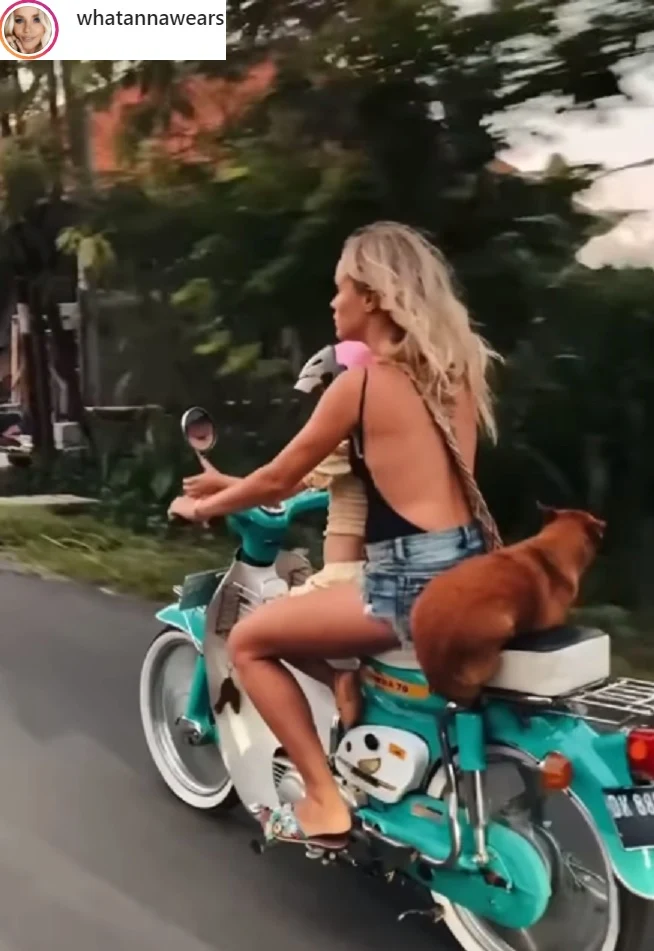 Anna Skura przewoziła psa bez żadnego zabezpieczenia. Sama także nie miała chociażby kasku podczas jazdy pojazdem Anna Skura przewoziła psa bez żadnego zabezpieczenia. Sama także nie miała chociażby kasku podczas jazdy pojazdem