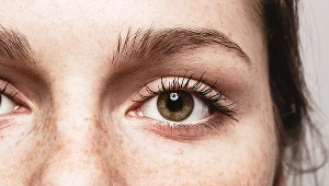 Piegi, sezonowo, pod wpływem słońca, pojawiają się wiosną i latem