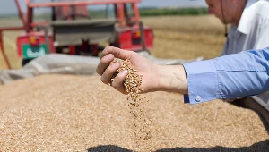 Wartość polskiego eksportu żywności wzrosła w 2022 roku o 26,7 proc. rok do roku 