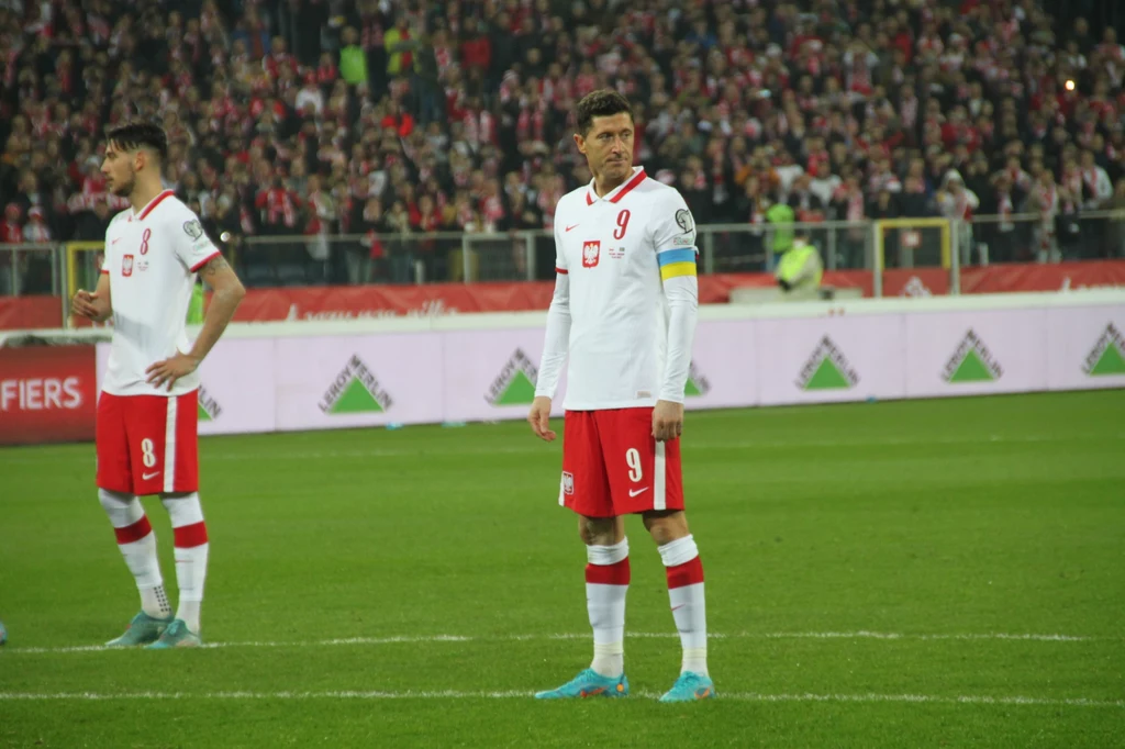 Mecz Polska - Szwecja, Robert Lewandowski