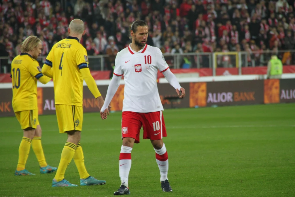 Mecz Polska - Szwecja, Grzegorz Krychowiak