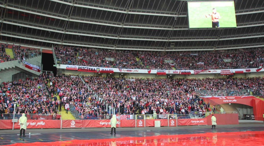 Kibice na meczu Polska - Szwecja