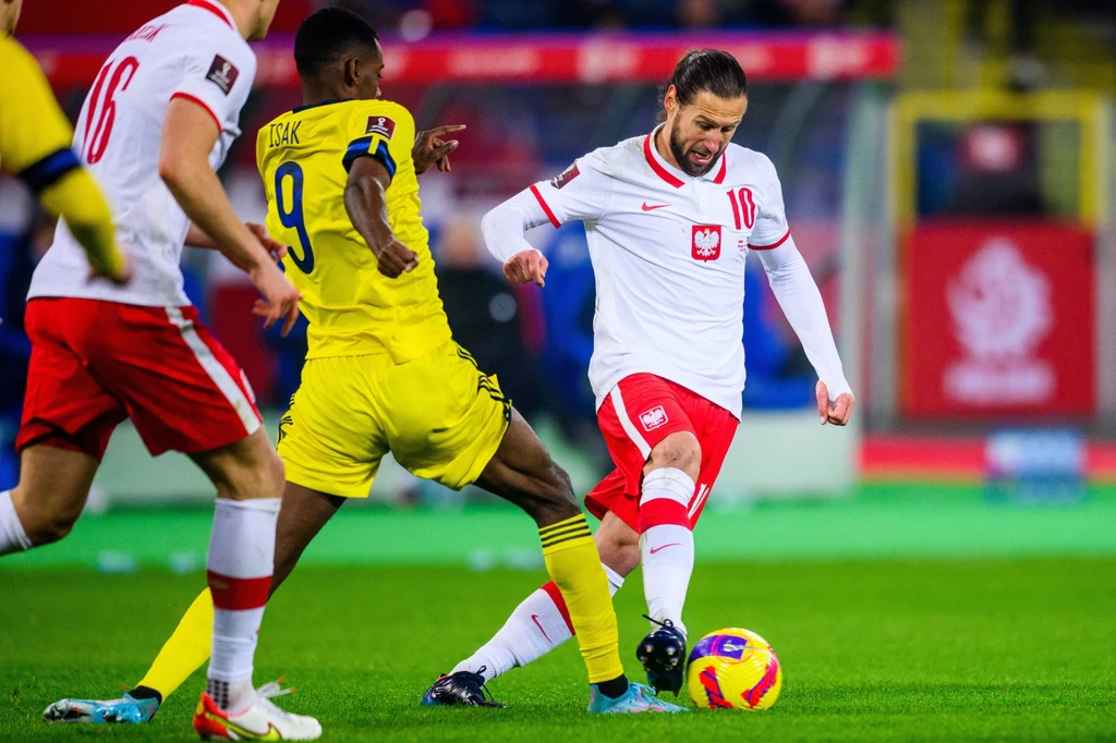 Grzegorz Krychowiak