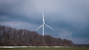 Zielona energia to najlepszy sposób na niezależność. Nie tylko od Rosji