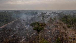 Świat byłby cieplejszy o jeden stopień Celsjusza bez chłodzącego efektu lasów