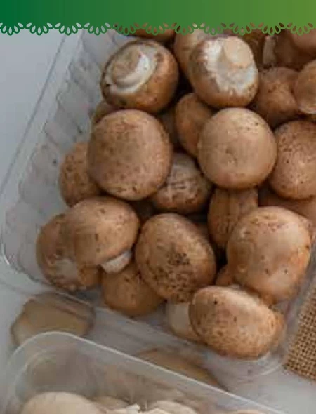 Pieczarki