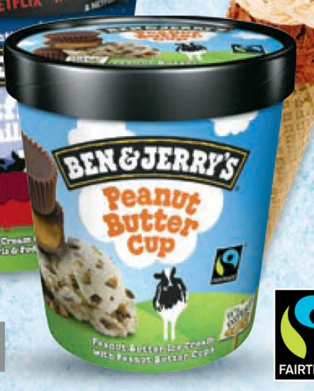 Ben & Jerry's Peanut Butter Cup Lody 465 ml