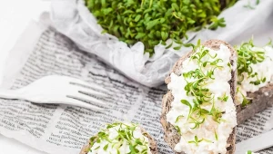 Kiełki rzeżuchy są pełne witaminy C, B i K oraz żelaza. Warto jeść ją nie tylko od święta