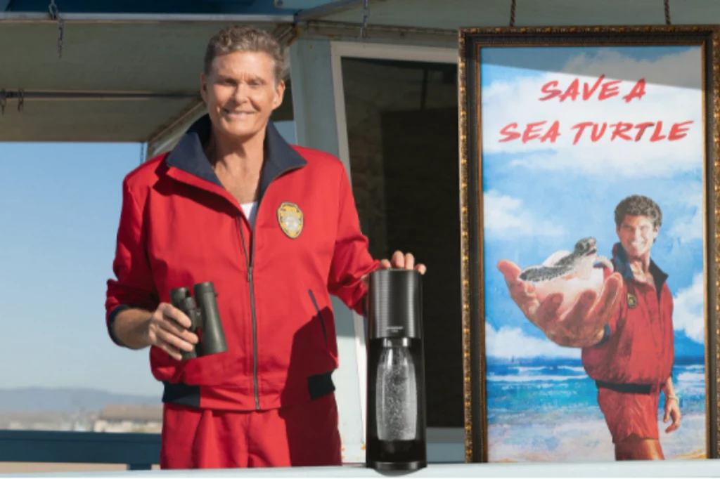 David Hasselhoff to gwiazdor, któremu los zwierząt i ukochanych plaż nie jest mu obojętny