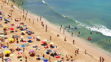 Za co można dostać mandat na plaży?