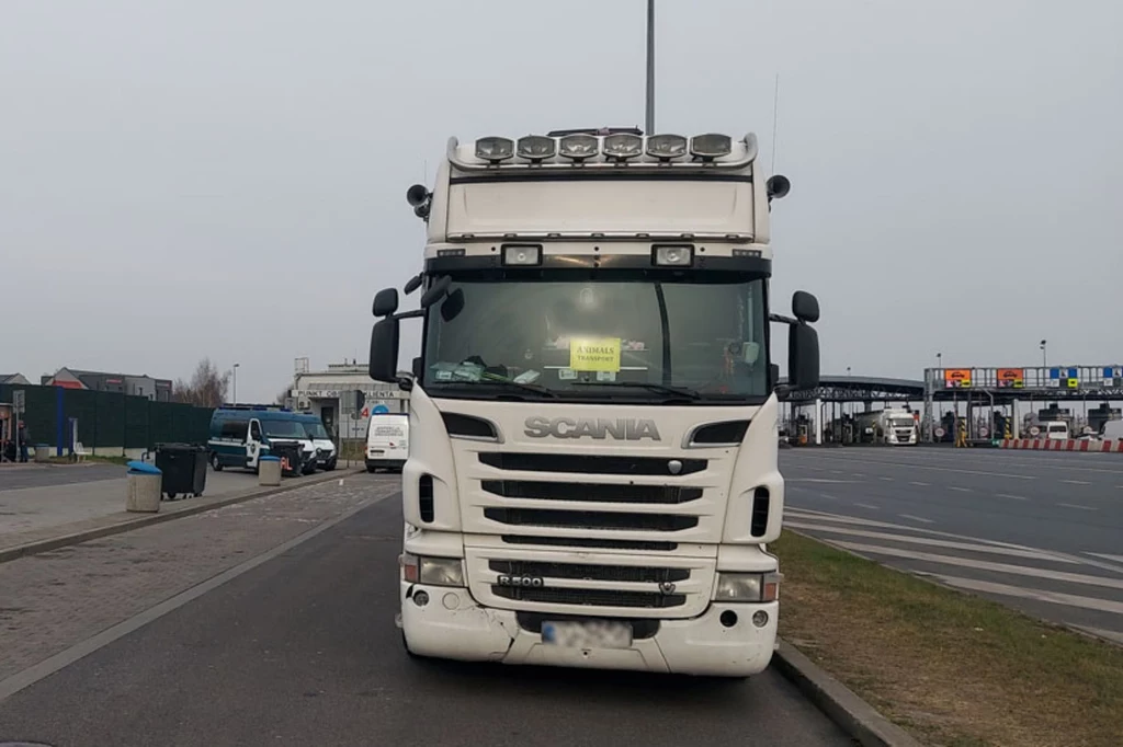 Transportowcy mówią na takie obejście przepisów, że jechali "na turystę". W wyniku spotkania z inspektorami ITD obaj kierowcy Scanii stracili prawo jazdy