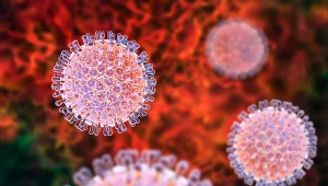 Niemal każde dziecko przed ukończeniem 5. roku życia przejdzie zakażenie rotawirusem