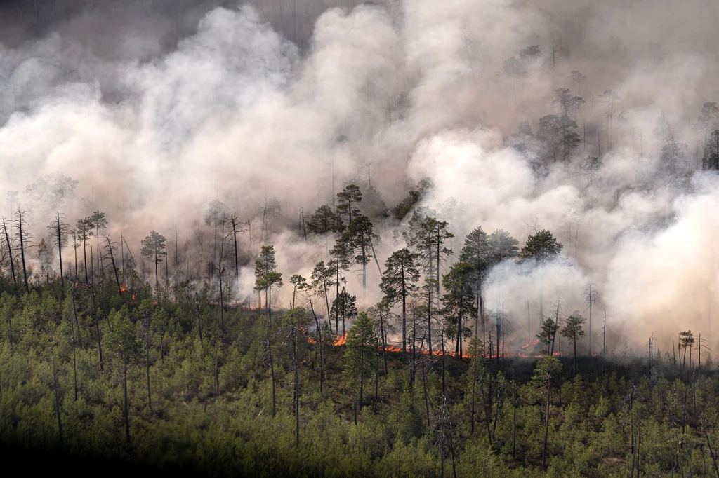 Pożar lasu na Syberii. Tego rodzaju zjawisk wraz z postępowaniem zmiany klimatu będzie coraz więcej.  