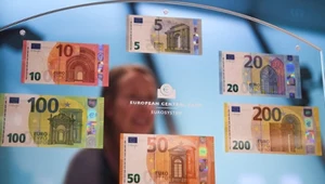 Wspólna waluta w odwrocie. Wyjątkowo dobry czas dla złotego.