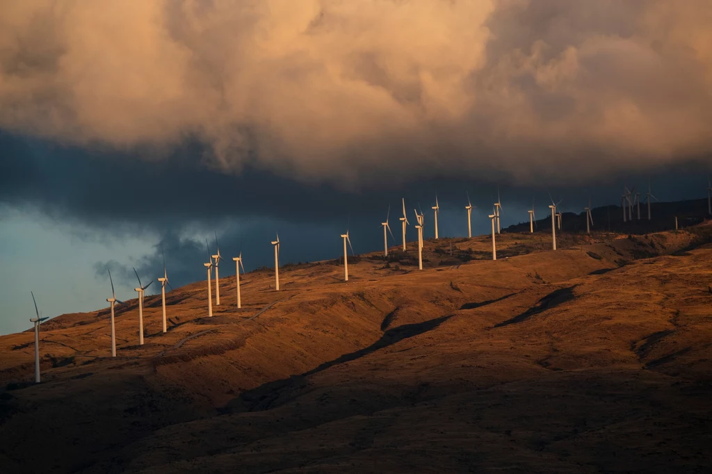 Energetyka wiatrowa notuje w ostatnich latach rekordowy rozwój. Jednak aby osiągnąć cele klimatyczne wiatraków musi powstawać jeszcze więcej - alarmuje Global Wind Energy Council 